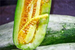 网红娱乐吃瓜,吃瓜群众的热议焦点  第2张