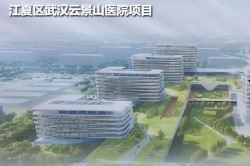 武汉医学院爆料信息最新,揭秘校园内幕与改革动向  第2张